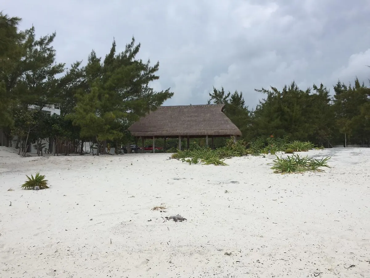 Sea By C Apartments (Adults Only) Cancún 0*,